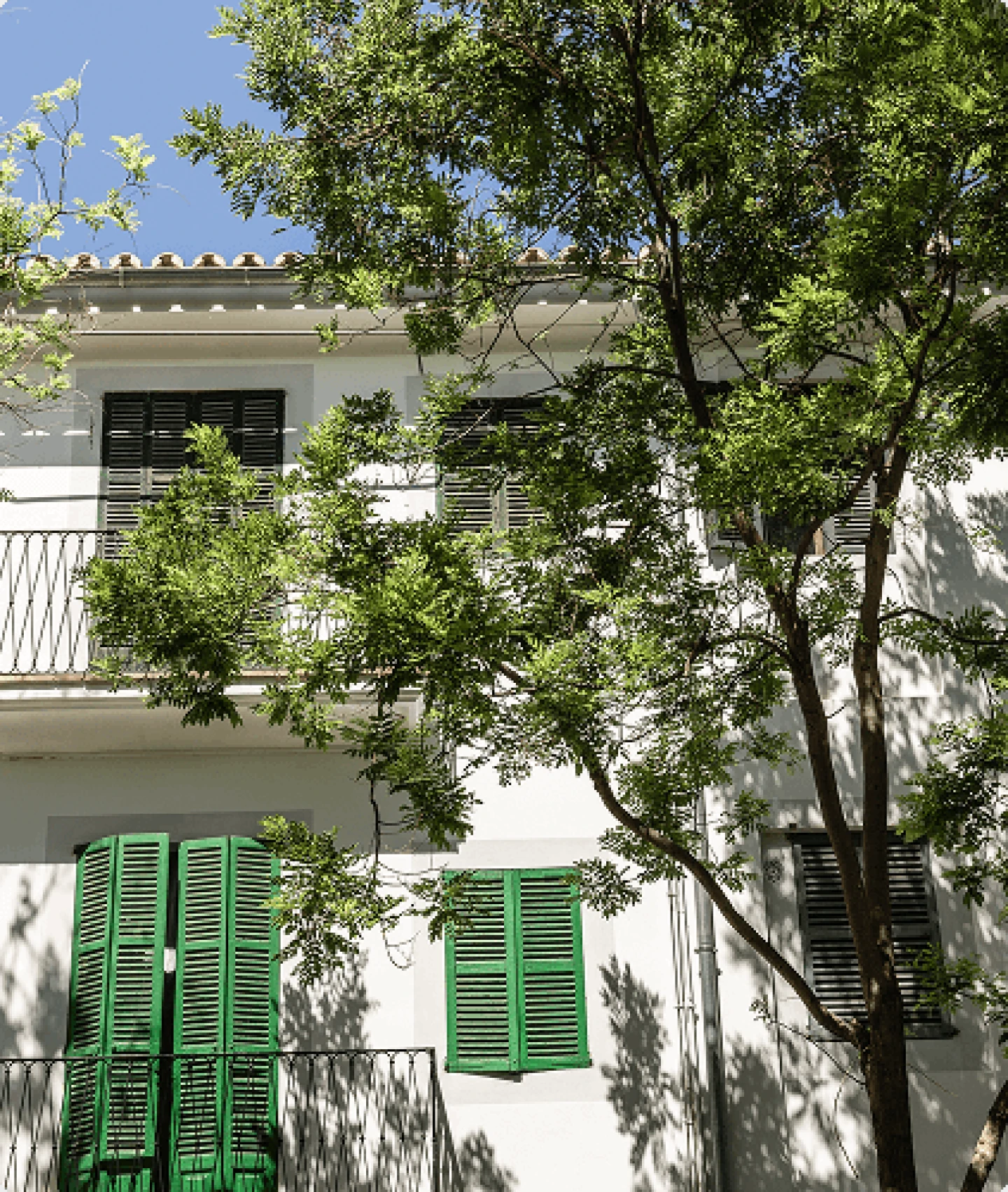 Fachada de una casa tradicional en Santa Catalina con persianas verdes y árboles.
